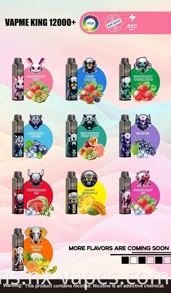 VAPME KING 12000 (5)